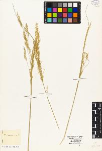 SW_BNB_s3010-05311_IMG-0000000001