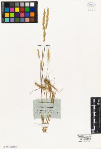SW_BNB_s3010-05312_IMG-0000000001