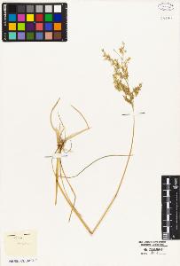 SW_BNB_s3010-05313_IMG-0000000001