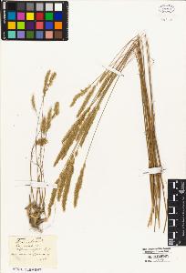 SW_BNB_s3010-05314_IMG-0000000001