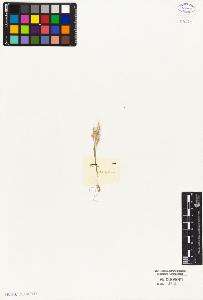SW_BNB_s3010-05316_IMG-0000000001