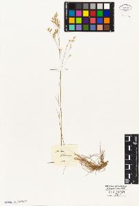 SW_BNB_s3010-05317_IMG-0000000001