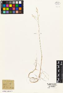 SW_BNB_s3010-05318_IMG-0000000001