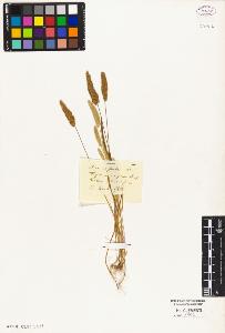 SW_BNB_s3010-05320_IMG-0000000001