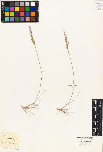 SW_BNB_s3010-05321_IMG-0000000001