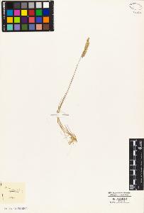 SW_BNB_s3010-05322_IMG-0000000001