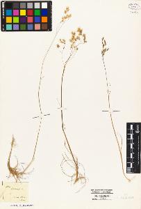 SW_BNB_s3010-05323_IMG-0000000001
