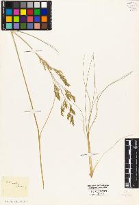 SW_BNB_s3010-05324_IMG-0000000001
