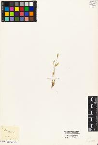 SW_BNB_s3010-05325_IMG-0000000001
