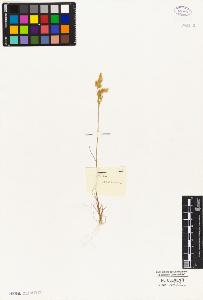 SW_BNB_s3010-05327_IMG-0000000001