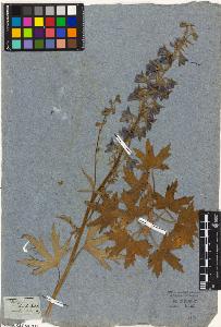 SW_BNB_s3010-05329_IMG-0000000001