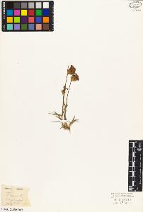 SW_BNB_s3010-05330_IMG-0000000001