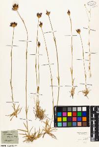 SW_BNB_s3010-05334_IMG-0000000001