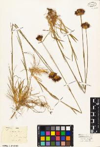SW_BNB_s3010-05335_IMG-0000000001