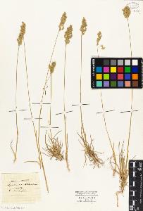 SW_BNB_s3010-05336_IMG-0000000001