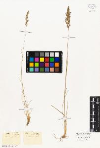 SW_BNB_s3010-05338_IMG-0000000001