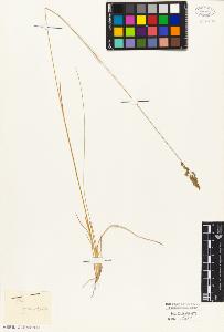 SW_BNB_s3010-05339_IMG-0000000001