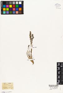 SW_BNB_s3010-05341_IMG-0000000001