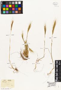 SW_BNB_s3010-05342_IMG-0000000001
