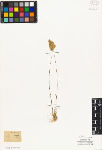 SW_BNB_s3010-05345_IMG-0000000001