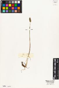 SW_BNB_s3010-05347_IMG-0000000001