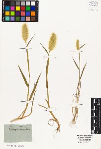 SW_BNB_s3010-05348_IMG-0000000001