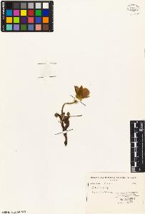SW_BNB_s3010-05352_IMG-0000000001