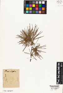 SW_BNB_s3010-05353_IMG-0000000001