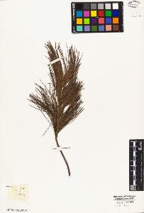 SW_BNB_s3010-05354_IMG-0000000001