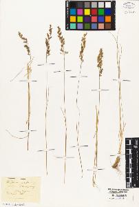 SW_BNB_s3010-05357_IMG-0000000001
