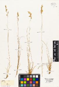 SW_BNB_s3010-05359_IMG-0000000001