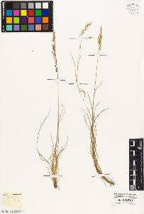 SW_BNB_s3010-05360_IMG-0000000001