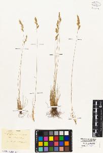 SW_BNB_s3010-05361_IMG-0000000001