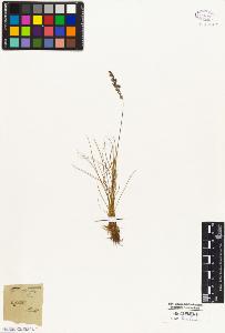 SW_BNB_s3010-05364_IMG-0000000001