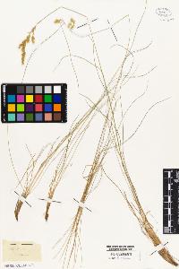 SW_BNB_s3010-05365_IMG-0000000001