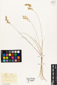 SW_BNB_s3010-05366_IMG-0000000001