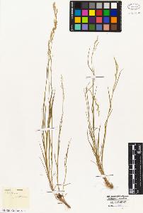 SW_BNB_s3010-05367_IMG-0000000001
