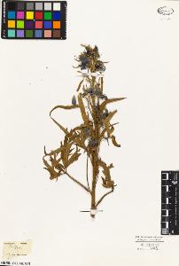 SW_BNB_s3010-05368_IMG-0000000001