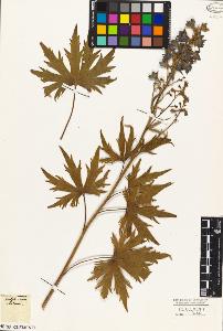 SW_BNB_s3010-05370_IMG-0000000001