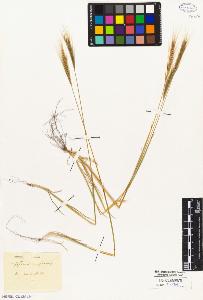 SW_BNB_s3010-05371_IMG-0000000001