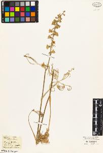 SW_BNB_s3010-05377_IMG-0000000001