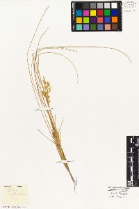 SW_BNB_s3010-05378_IMG-0000000001