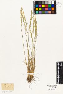 SW_BNB_s3010-05380_IMG-0000000001