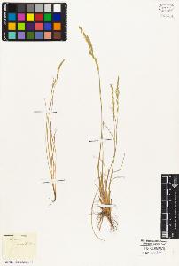 SW_BNB_s3010-05381_IMG-0000000001