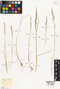 SW_BNB_s3010-05382_IMG-0000000001