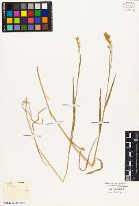SW_BNB_s3010-05385_IMG-0000000001