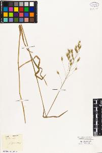 SW_BNB_s3010-05388_IMG-0000000001