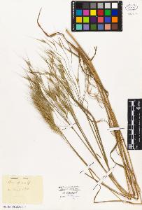 SW_BNB_s3010-05392_IMG-0000000001