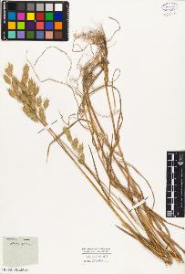 SW_BNB_s3010-05393_IMG-0000000001