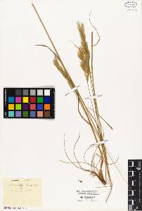 SW_BNB_s3010-05396_IMG-0000000001